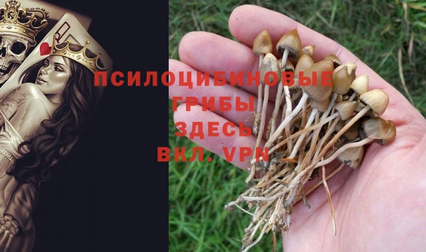 MDMA Пестово