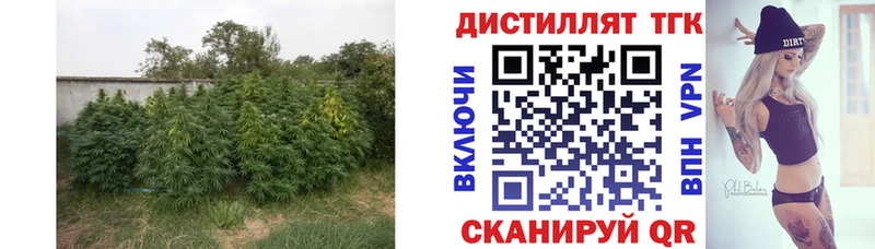 Дистиллят ТГК THC oil  Тырныауз 