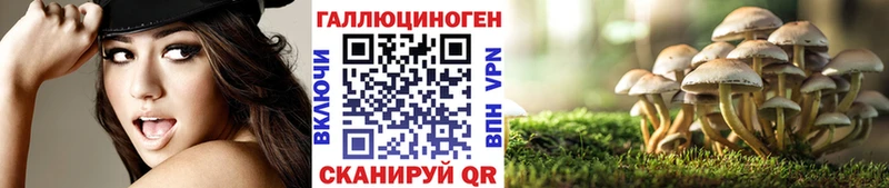 Псилоцибиновые грибы мухоморы купить наркотики цена Тырныауз
